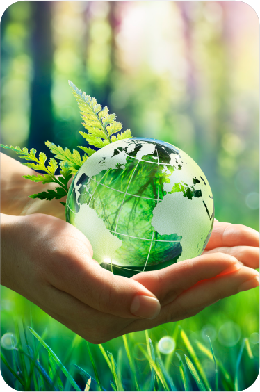 Sustainable Packaging - Flexible Packaging & Design | Kendall Packaging Corporation